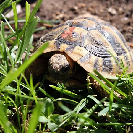 With Parking Space - 6178 *