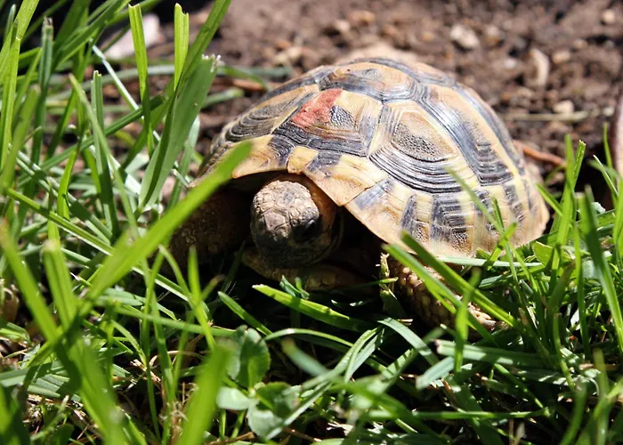 With Parking Space - 6178 *